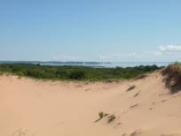 Sleeping Bear sand dunes